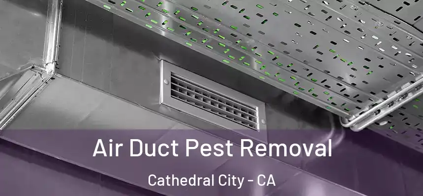  Air Duct Pest Removal Cathedral City - CA