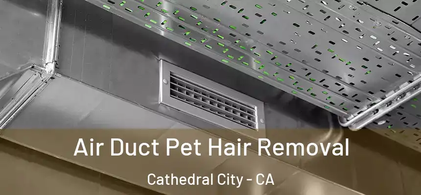  Air Duct Pet Hair Removal Cathedral City - CA