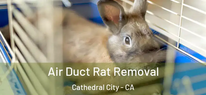 Air Duct Rat Removal Cathedral City - CA