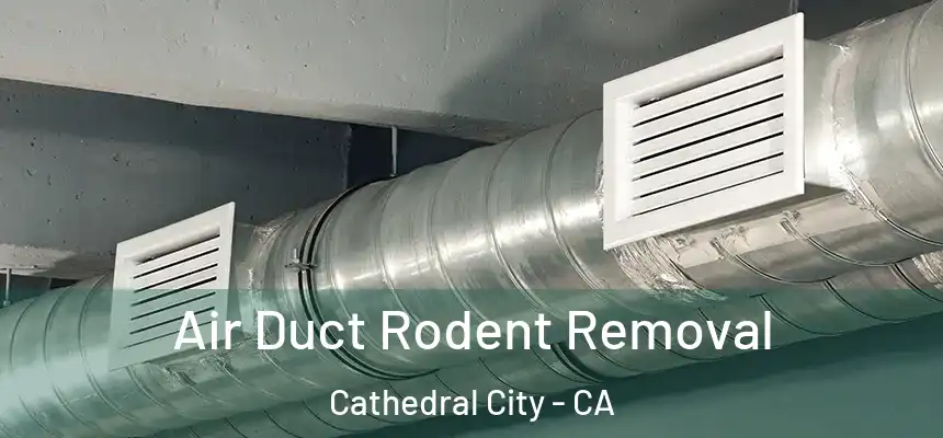Air Duct Rodent Removal Cathedral City - CA