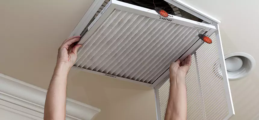Preventive Cockroach-Proofing for Ducts in Cathedral City
