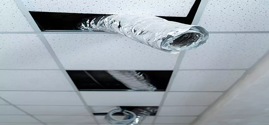 Our Air Duct Pet Hair Removal Services in Cathedral City, CA