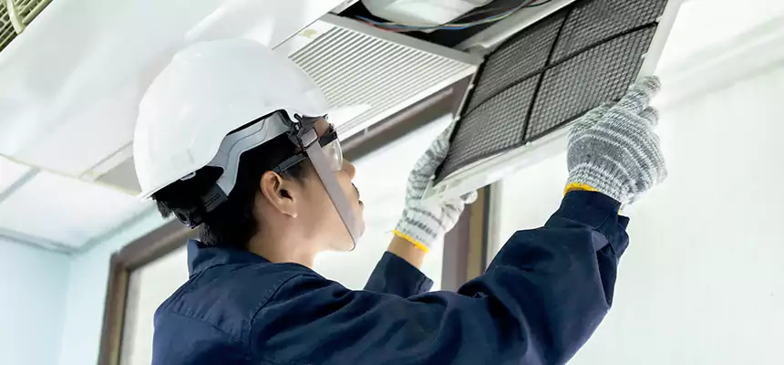 Our Mold & Mildew Removal from Air Ducts Services in Cathedral City, CA