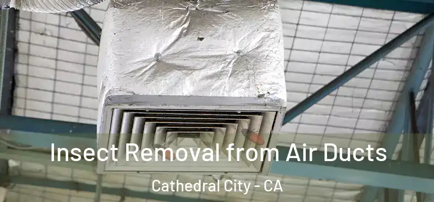Insect Removal from Air Ducts Cathedral City - CA