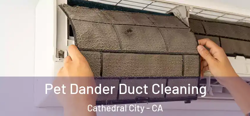Pet Dander Duct Cleaning Cathedral City - CA