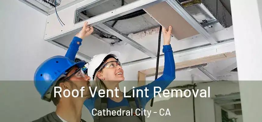  Roof Vent Lint Removal Cathedral City - CA