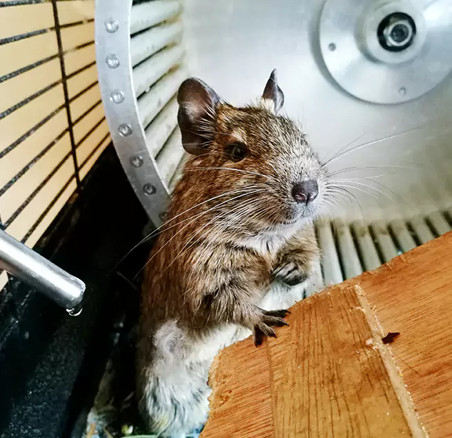 Why Homeowners & Businesses Trust Us Cathedral City, CA