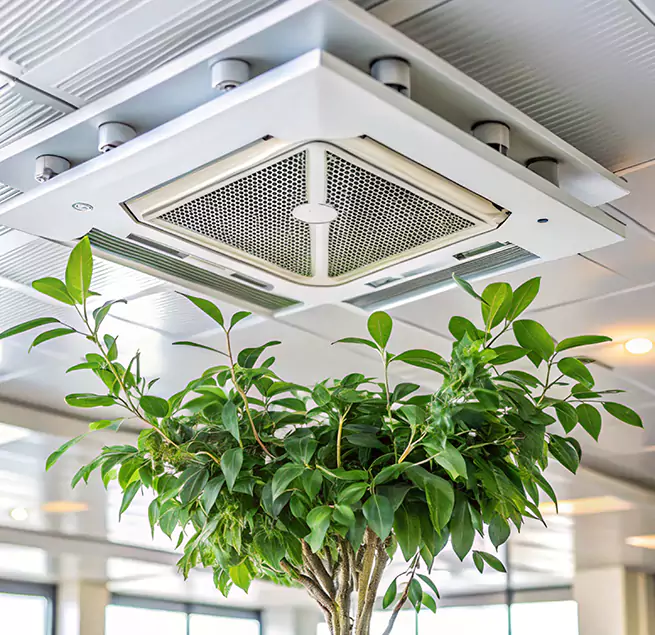 Why Homeowners & Businesses Trust Us in Cathedral City, CA?